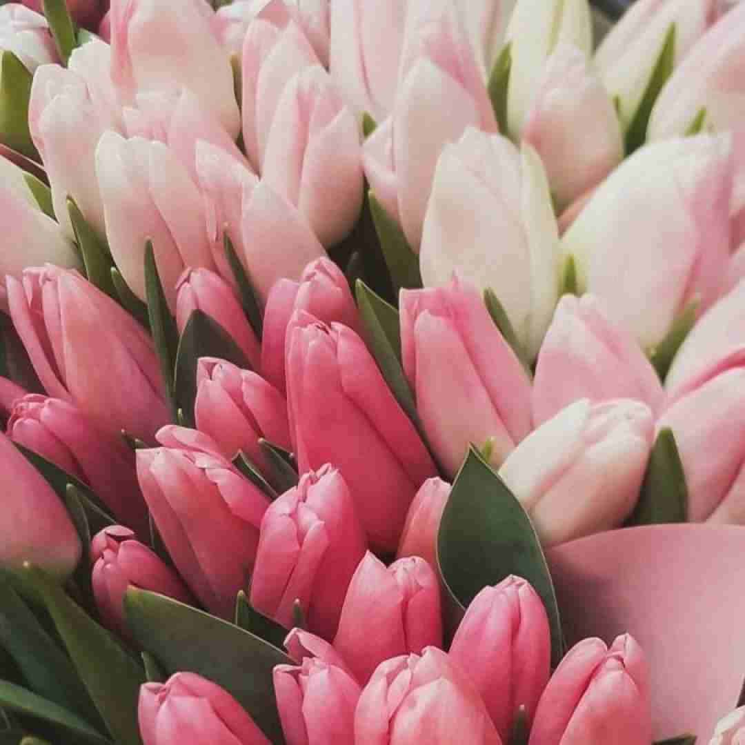 باهام میاد پا به پام تا الان توی زندگیم