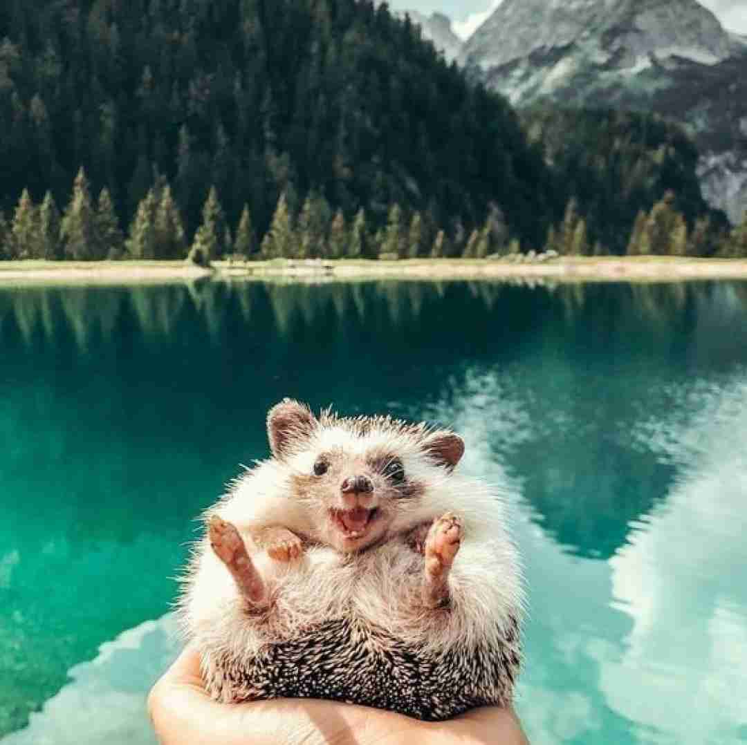  حاجی فکر کردم نمیخوای همشو کشیدم