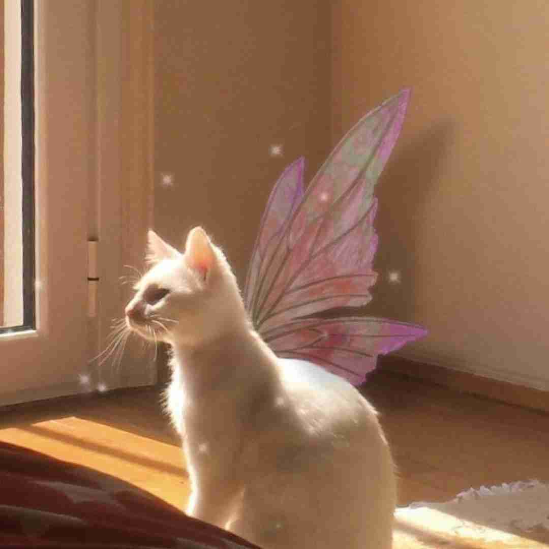  شبای جوونی چه بی اعتباره