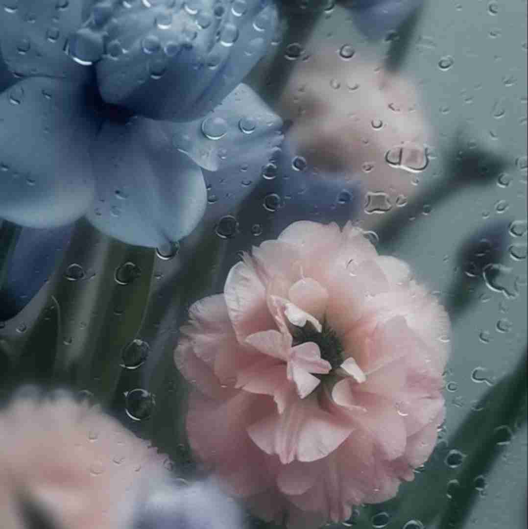 مکش منو برد تو سرگذشت زور