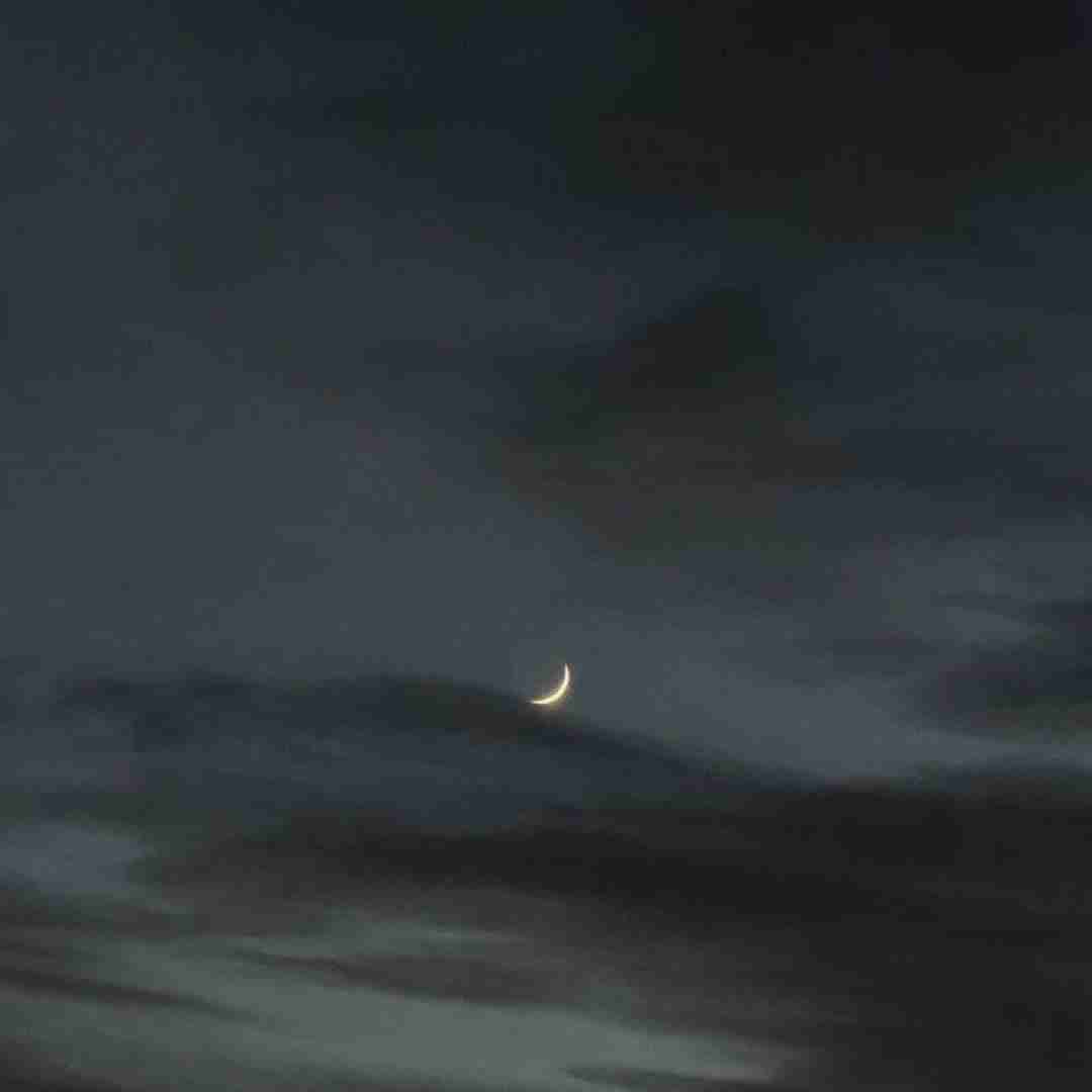 فردا تو میایی بی کلام