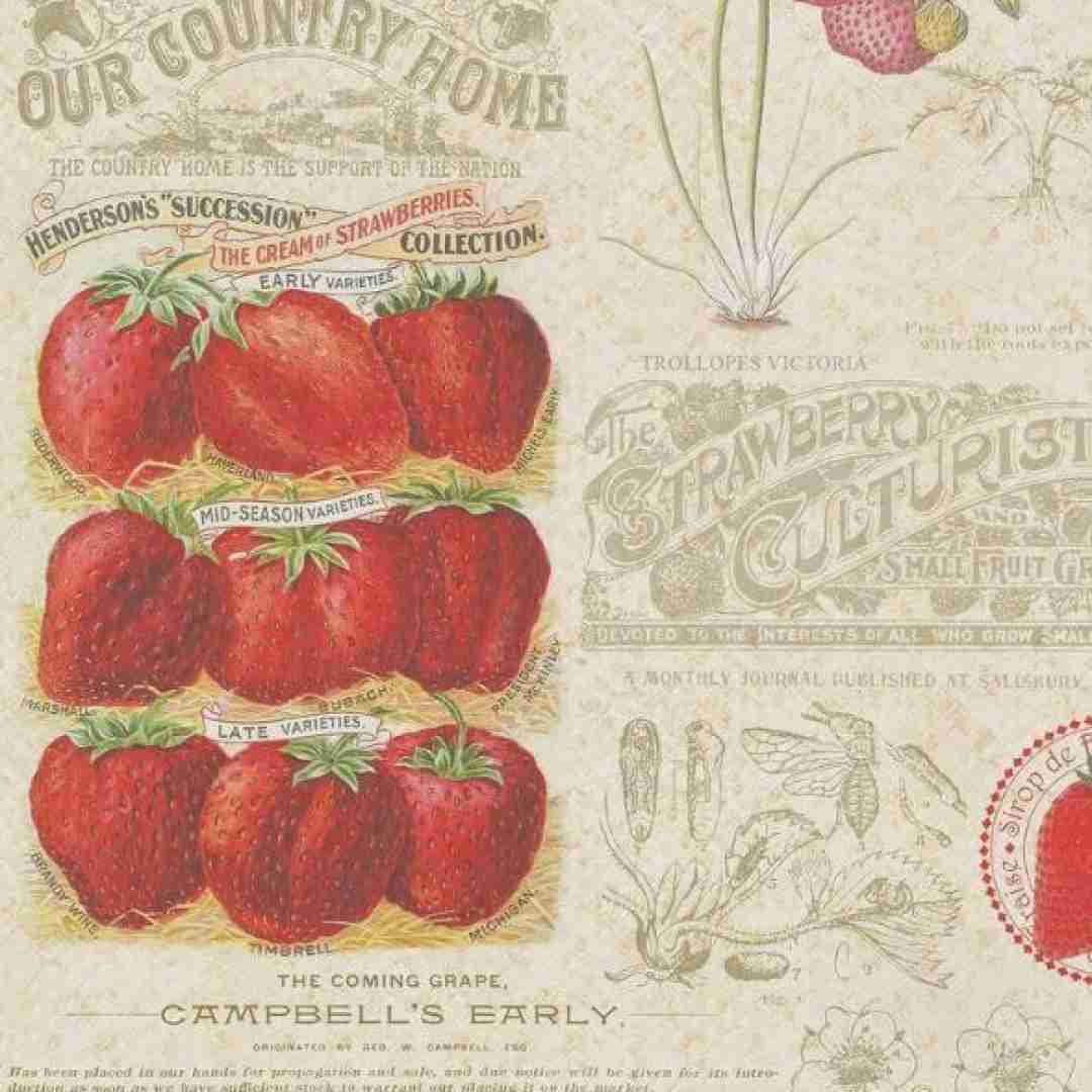 پروا هرچی میخوام هی چشام بسته کنم نمیتونم