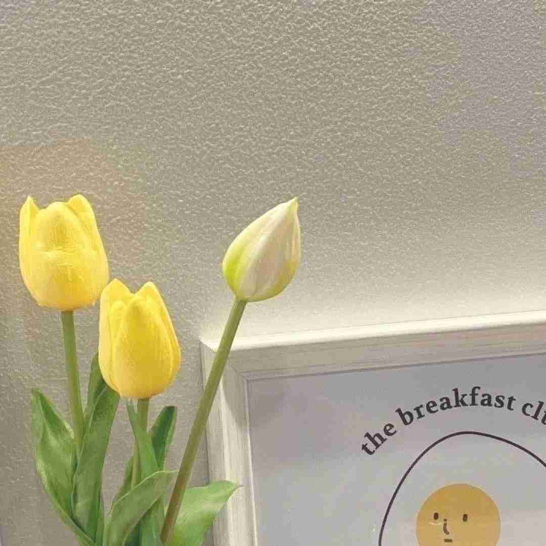  اسب سیاهو تاختم دیشب قمارو باختم