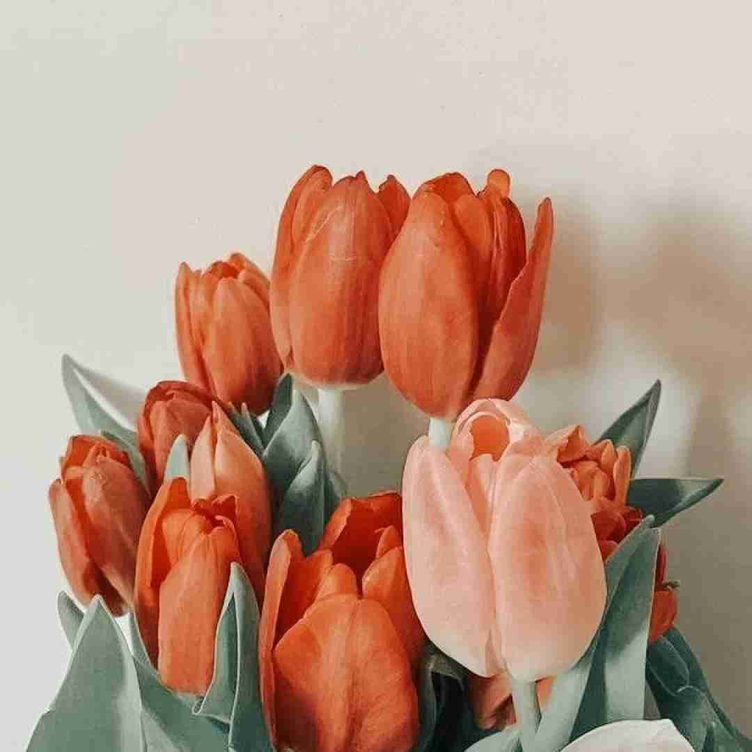 یه شب شب شبه تیره با صدای دختر