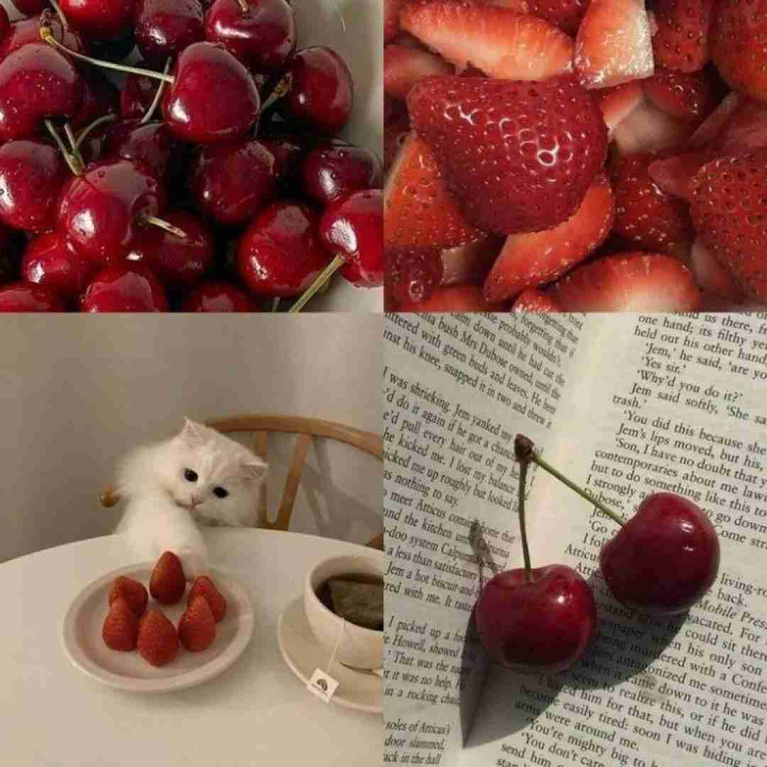 فاطمه عطایی های لاره