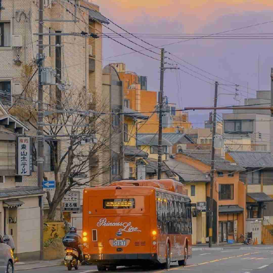  گلی خوشگلی گلی دلبری گلی از همه زیباتری
