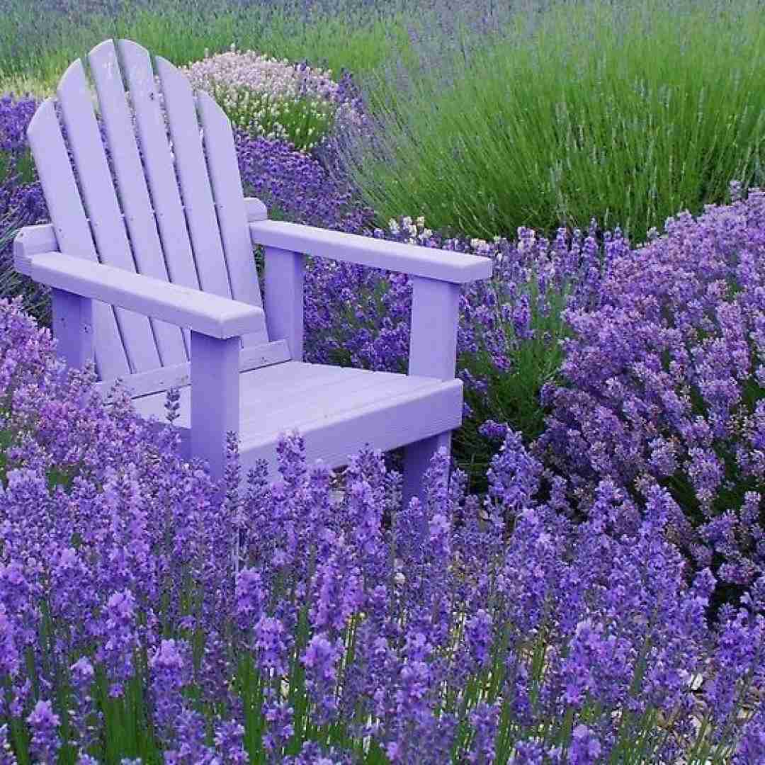  هرکاری که میخوامو کردم پسرارم نمی‌گیرم گردن