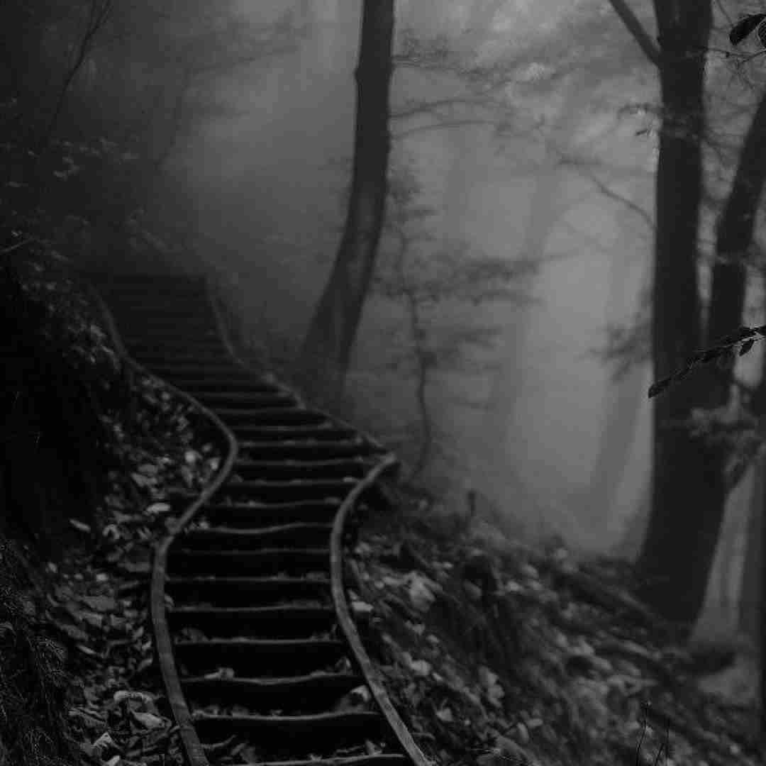  مهم نیست فردا چی میشه صدای دختر