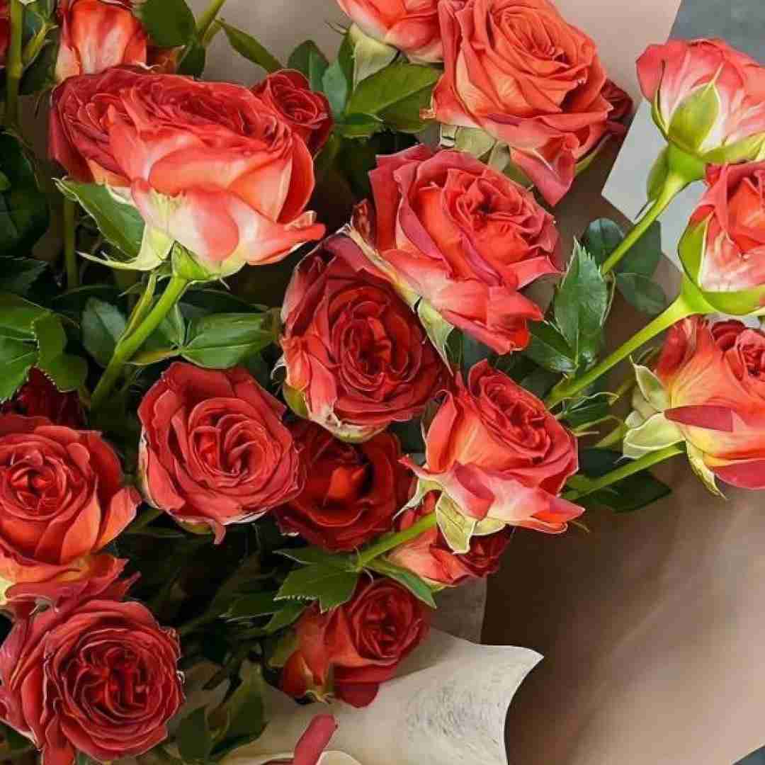  تف تو رخی که لای ماسکه