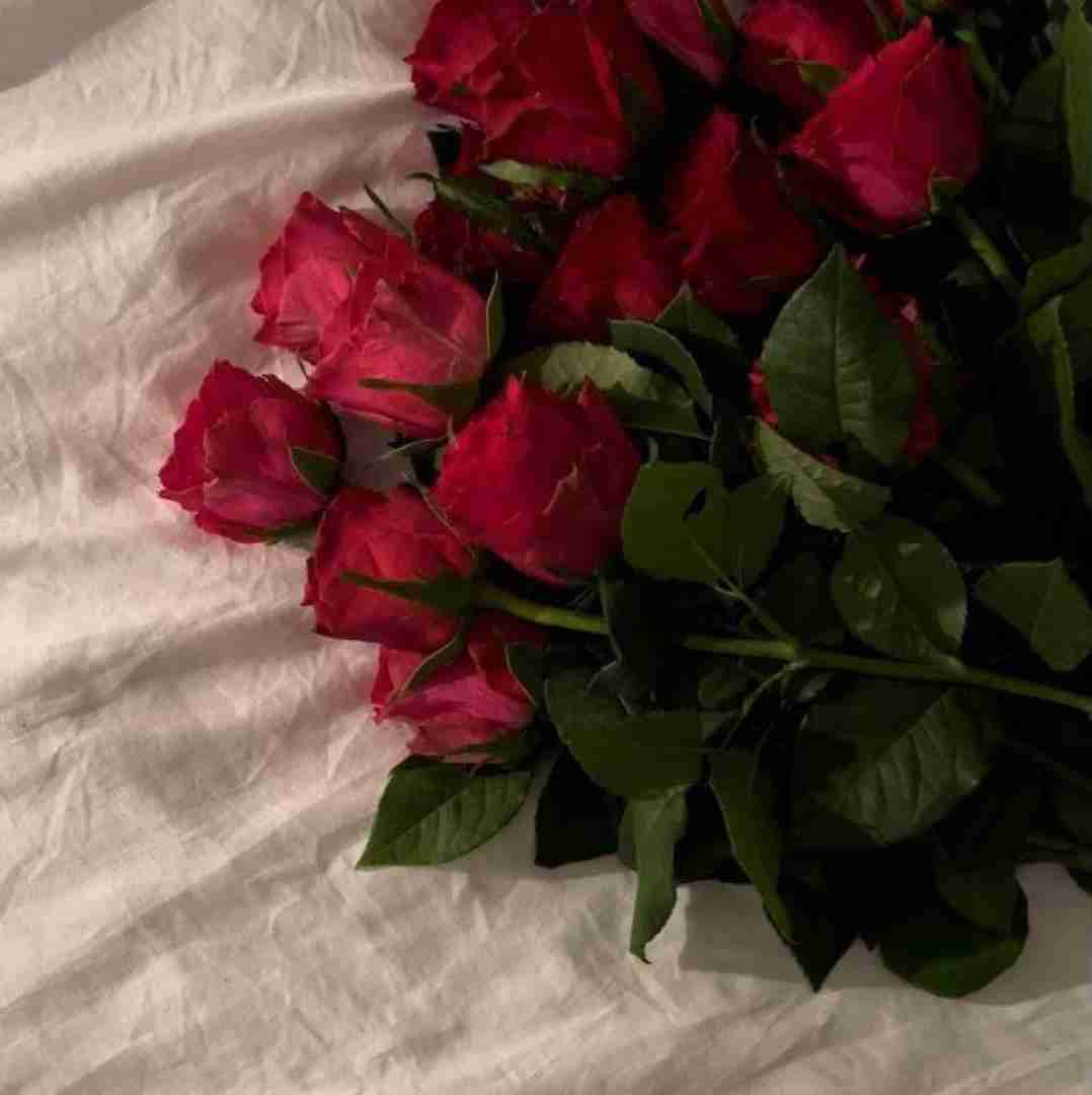 دشی حالا گوش کن اکس قشنگم حس قشنگم