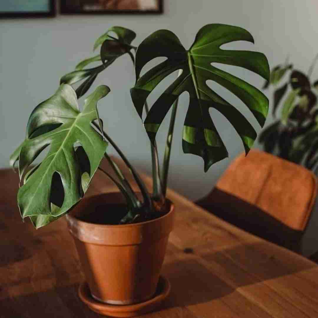  افتادم یه لیوان بده به من رفتنت به پای اون که