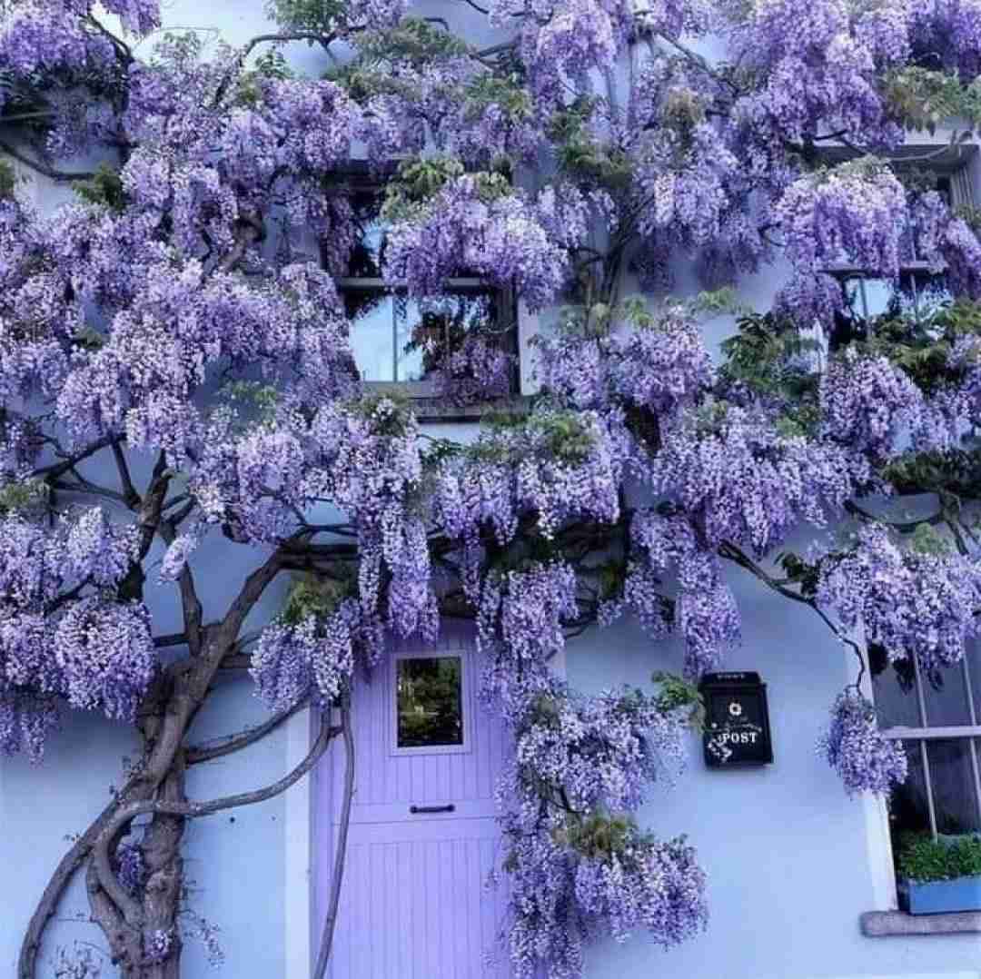  یه کمی ببین اولین نفر بودی به همه نشونت دادم