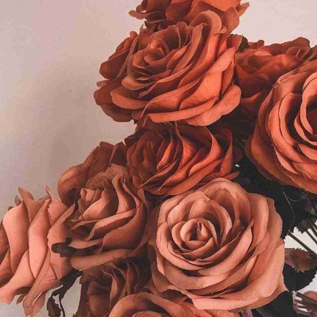 بیب ددی چه گیره همش به فکر دنسه