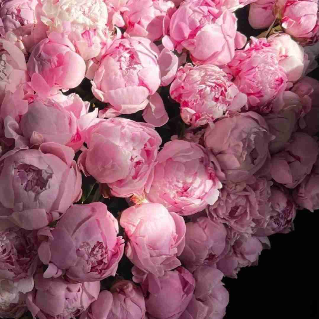  چشم و دلم روشن این سیگاریه اینستایی