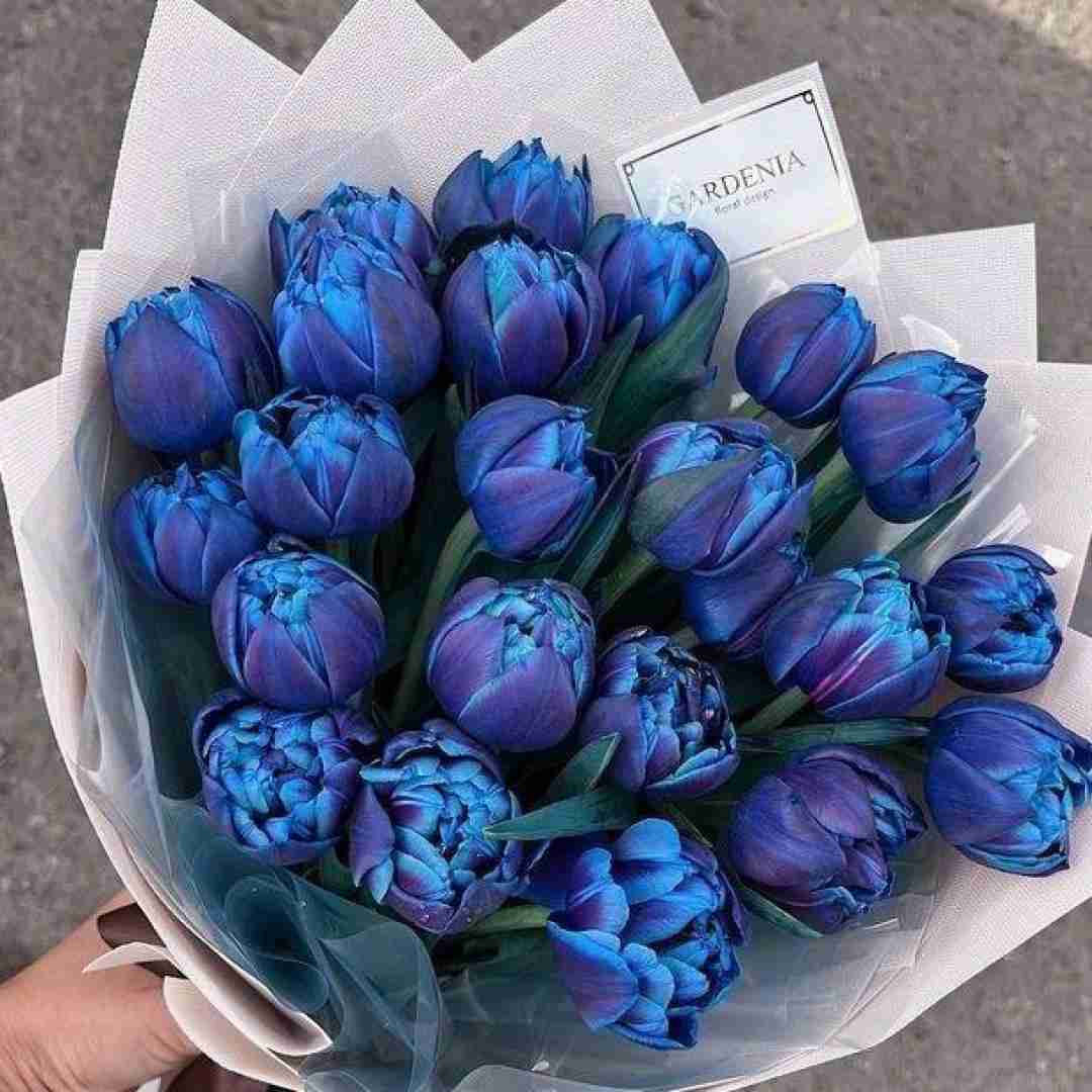 میفهم چرا میگی دنیا قهره
