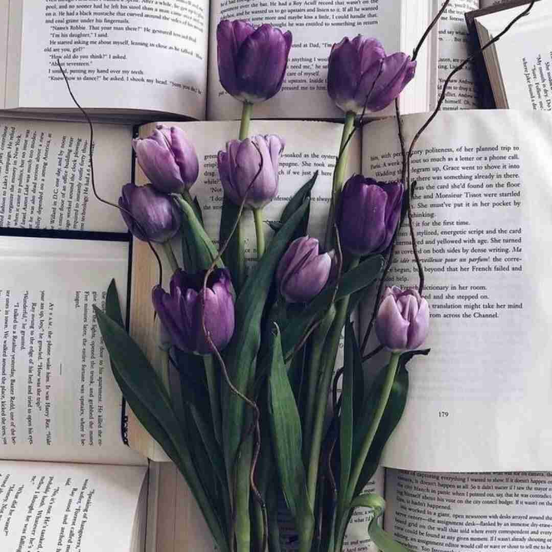  رابطه تاکسیک بود ترند اینستایی