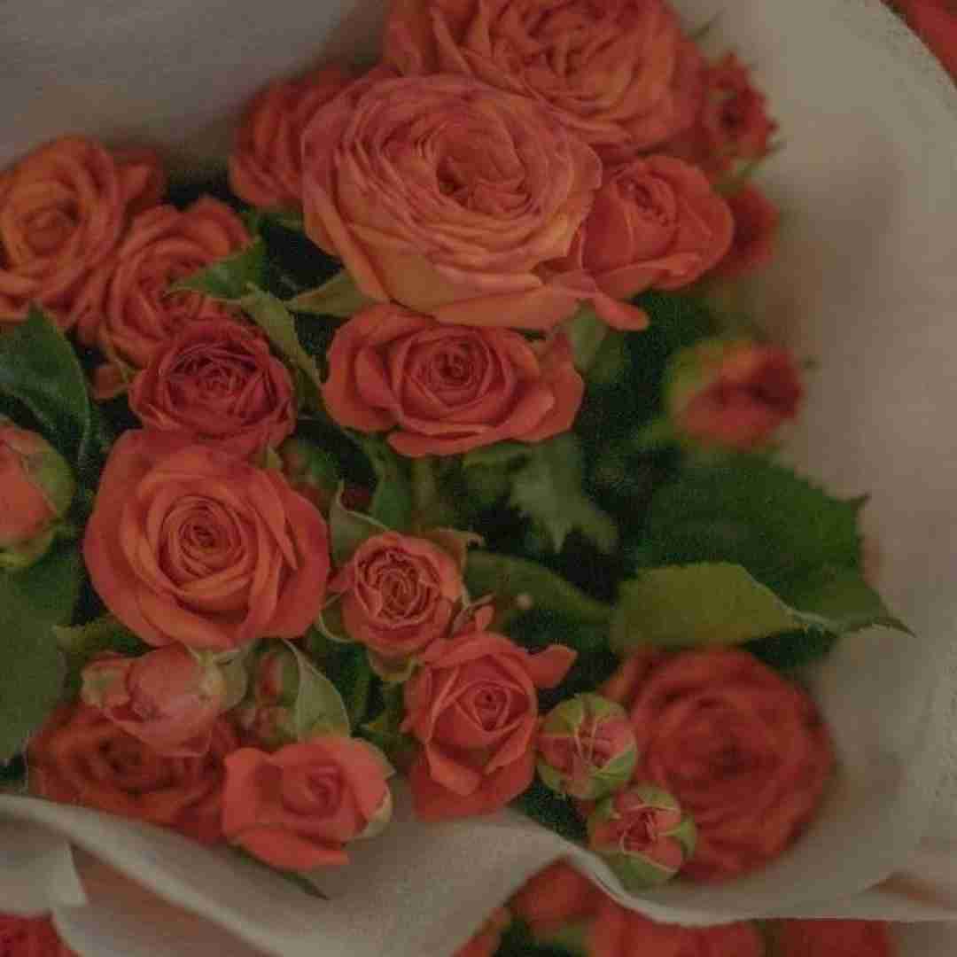  بیزار از شمع رو کیک تولدت که بفهمی