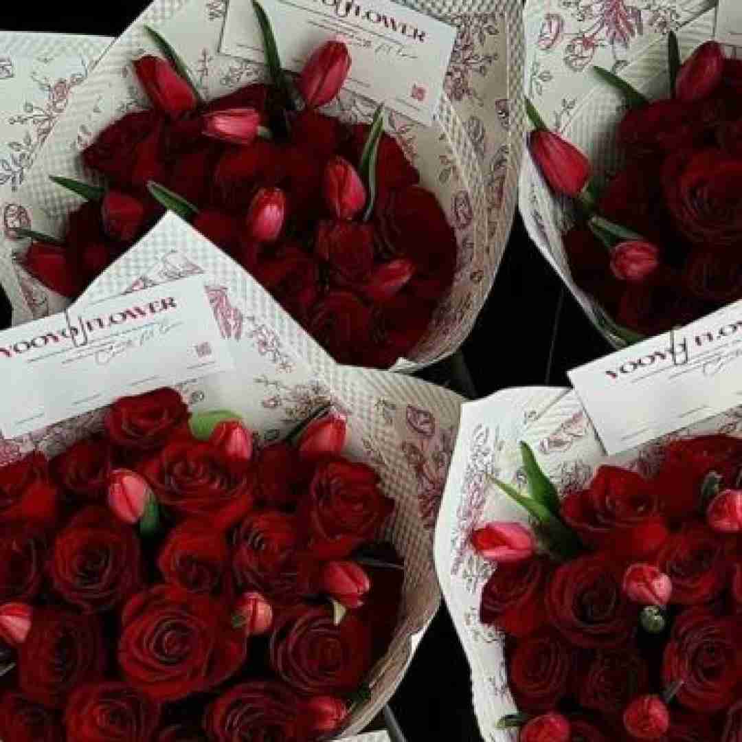  بذار تنها شی وقتشه سم پاشی