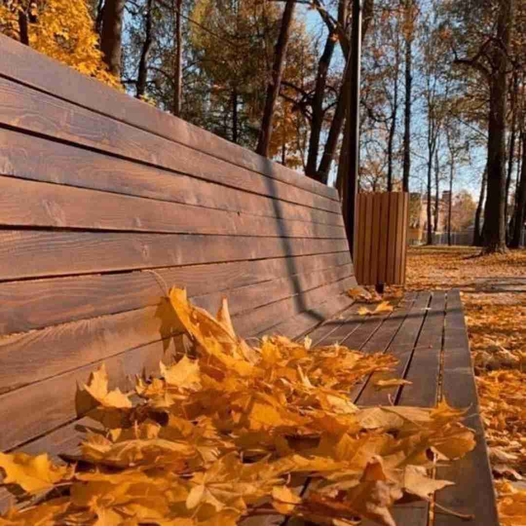  تویی همه دار و ندارم مونس و یاور و يارم