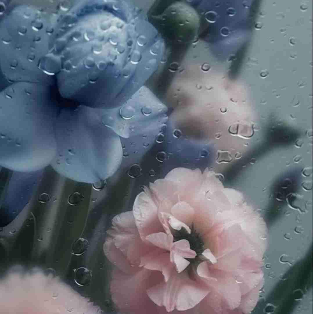  دل من تنگه برای همه روزایی که رفتن