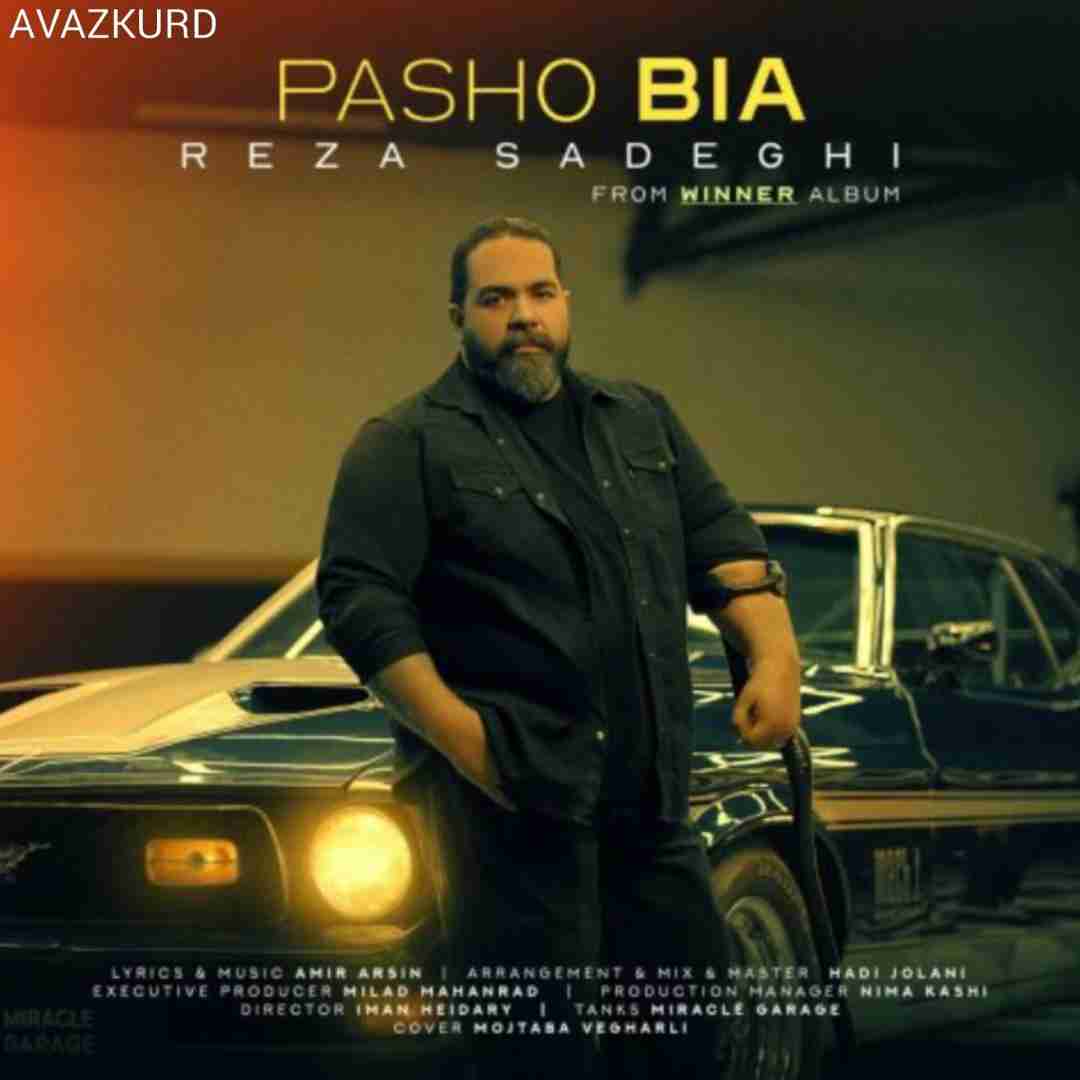 رضا صادقی پاشو بیا