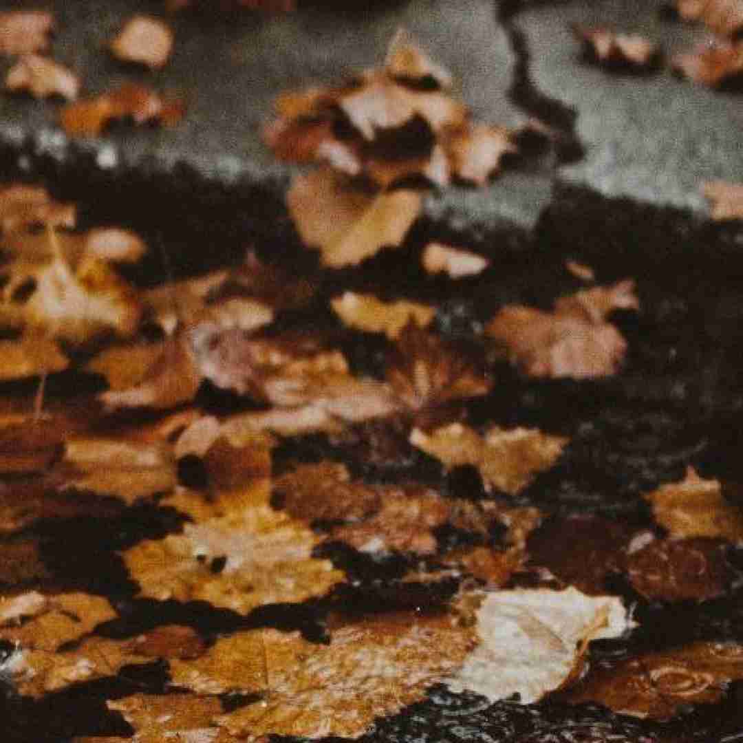  گفتم بهم فرصت بده تو چشمات مثل مخدره