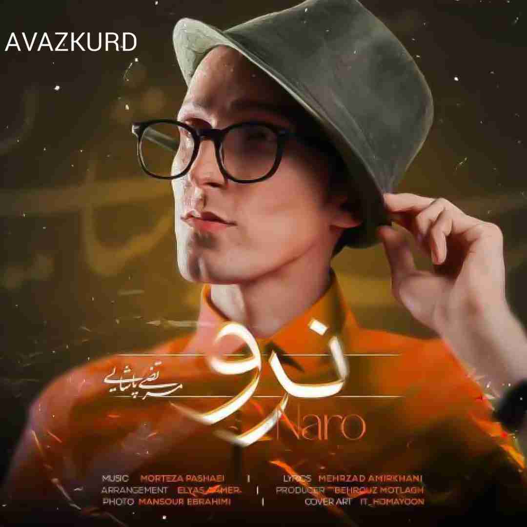 مرتضی پاشایی نرو