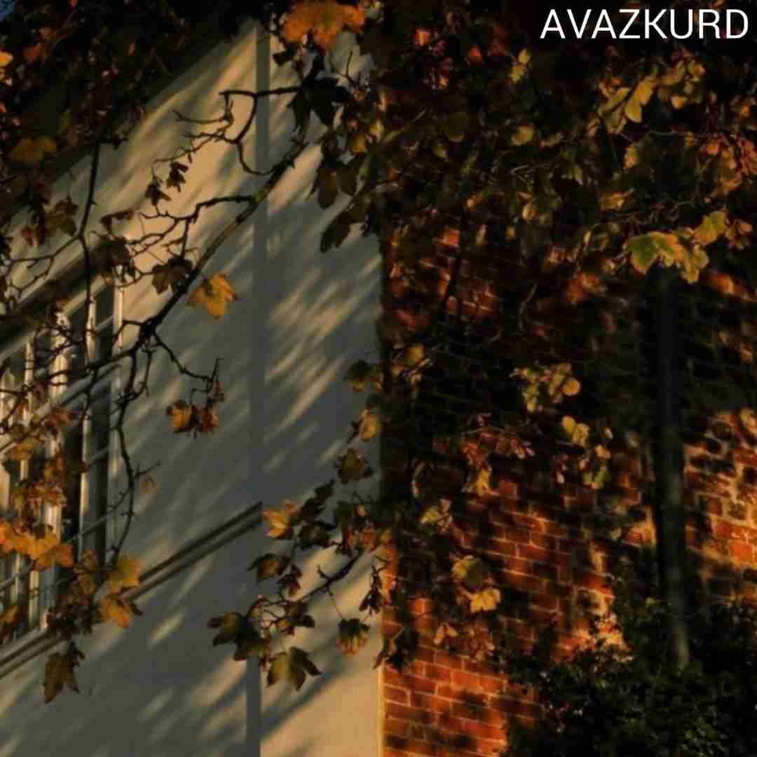 ﺗﻮ اﺻﻠﺎ ﺑﺎﻫﺎم ﻗﻬﺮ ﻛﻦ ﻫﻤﻪ روزو ﺷﺒﺎی ﻣﻨﻮ زﻫﺮ ﻛﻦ