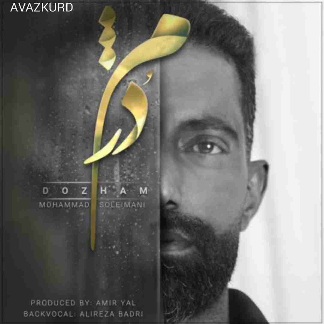 محمد سلیمانی دژم