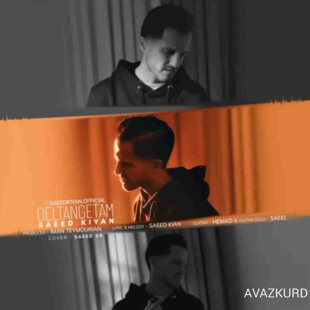 سعید کیان دلتنگتم