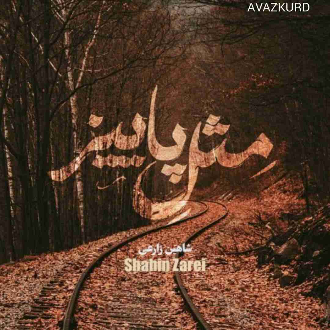 شاهین زارعی مثل پاییز