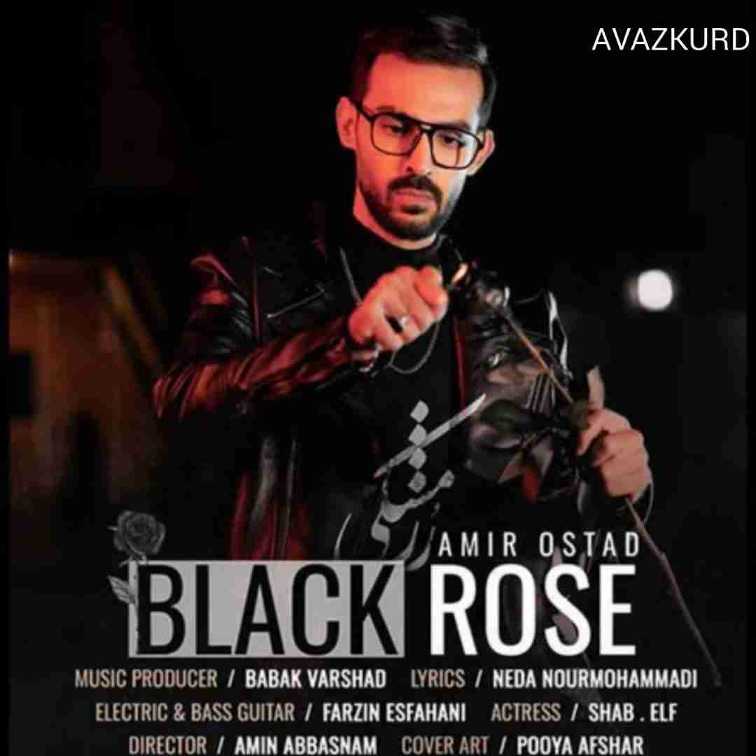 امیر استاد رز سیاه