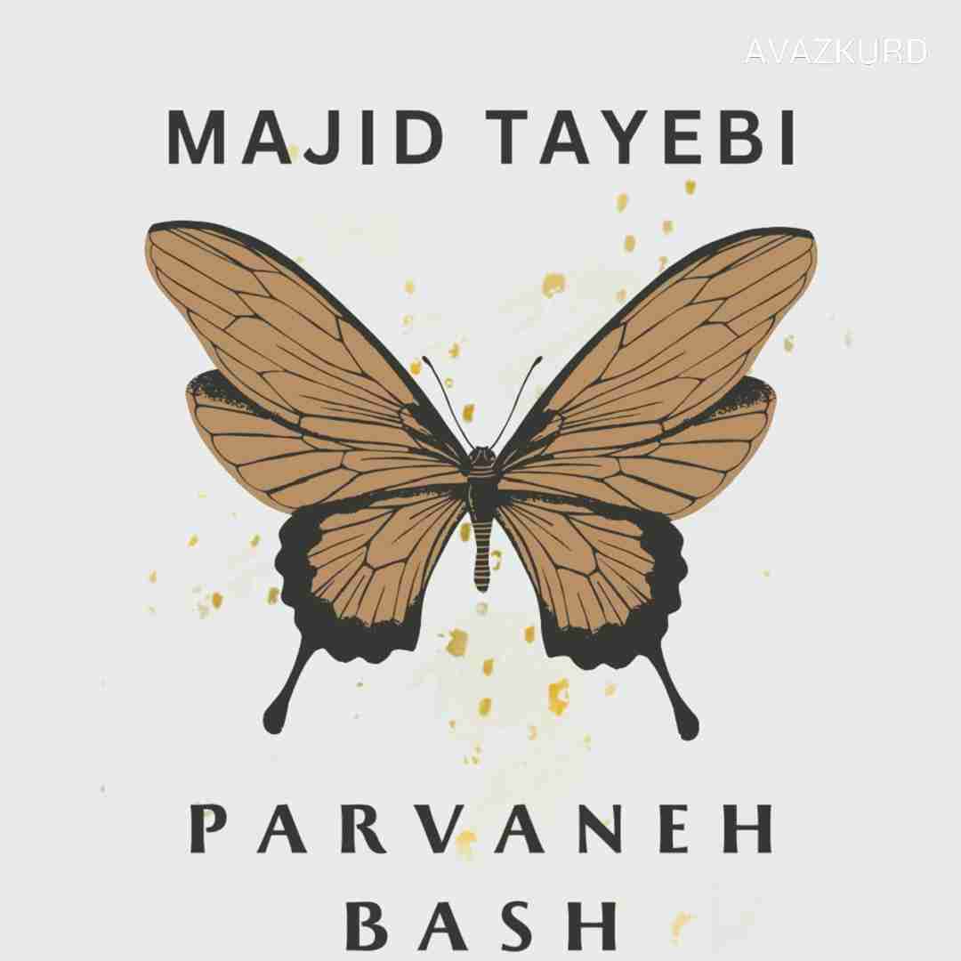 مجید طیبی پروانه باش