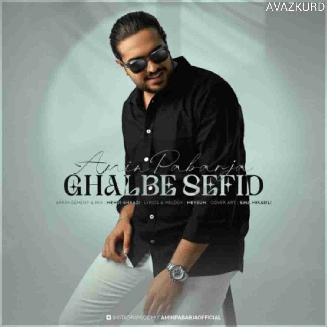 امین پابرجا قلب سفید