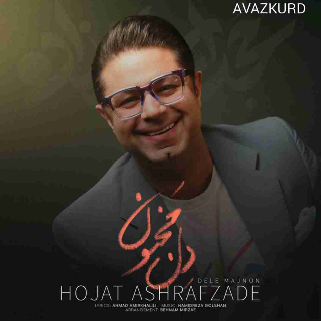 حجت اشرف زاده دل مجنون