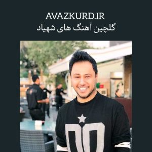 گلچین 20 آهنگ برتر شهیاد