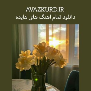 دانلود تمام آهنگ های هایده + متن