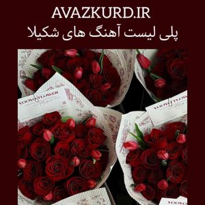 پلی لیست آهنگ های شکیلا