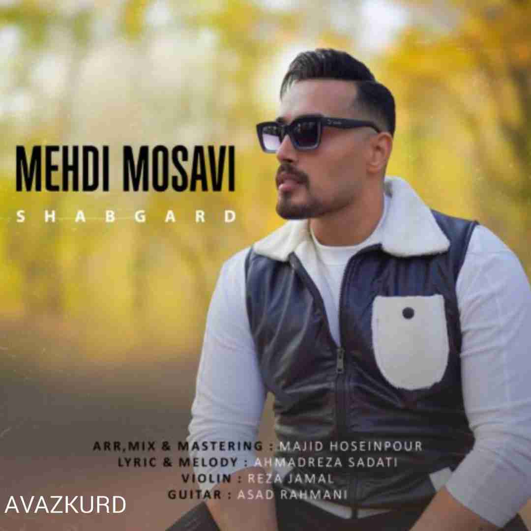 مهدی موسوی شب گرد