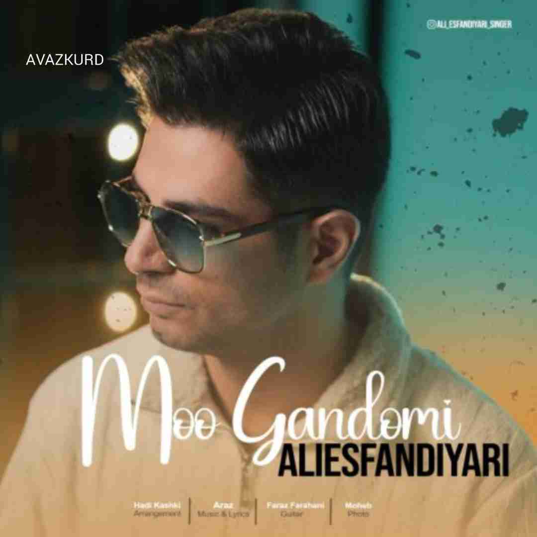 علی اسفندیاری مو گندمی