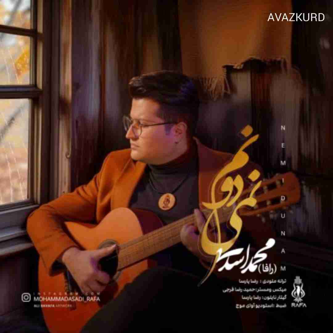 محمد اسدی نمیدونم