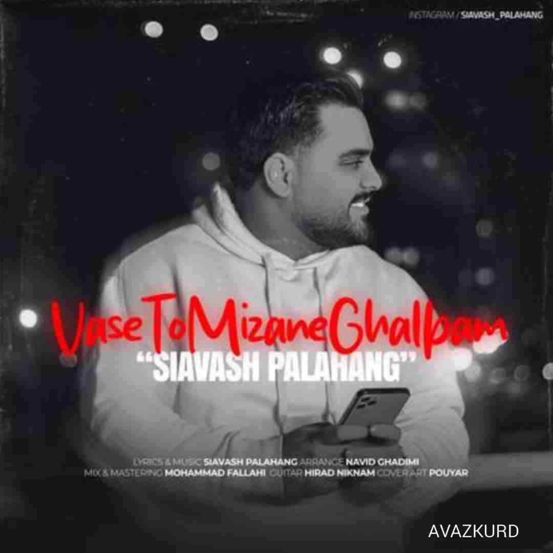 سیاوش پالاهنگ واسه تو میزنه قلبم