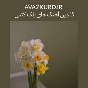 بهترین آهنگ های بلک کتس 1403