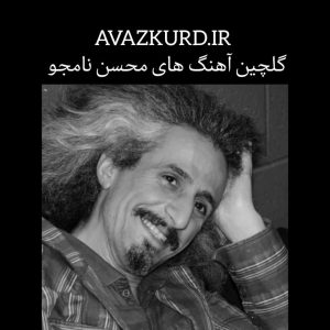 آهنگ های محسن نامجو