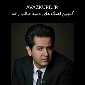 پلی لیست بهترین آهنگ حمید طالب زاده + ریمیکس