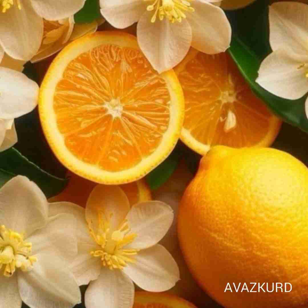 ستایش صادق زاده یار دلنواز