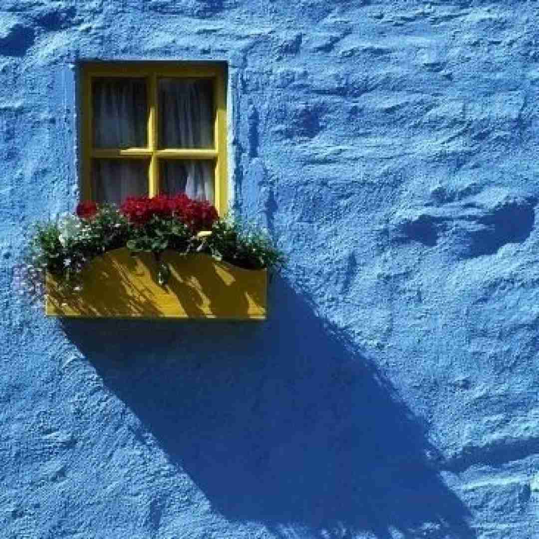 عزیز دلم اژدها یار خوشگلم اژدها