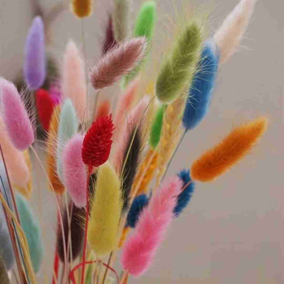 من دلم نمیخواست هر روز باشم از استرس فردا بی قرار