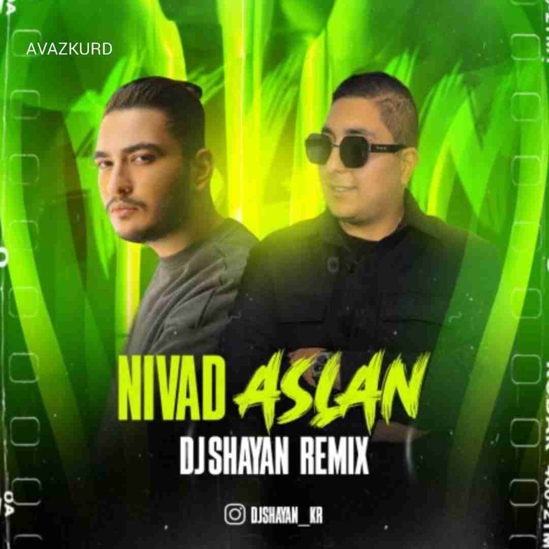 دیجی شایان اصلا