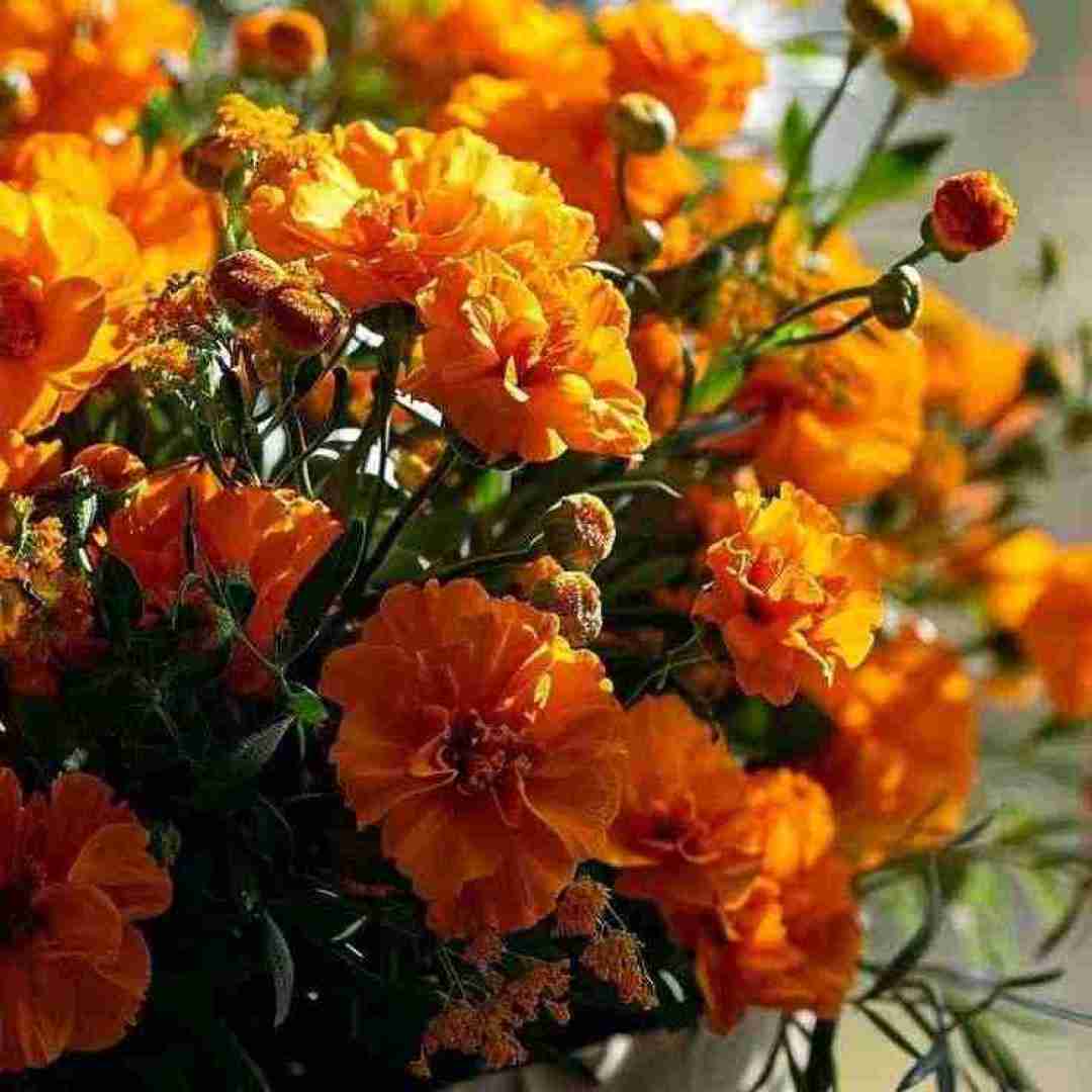  دوامو بده که من آروم شم سرم گرم ولی سرد آغوشم